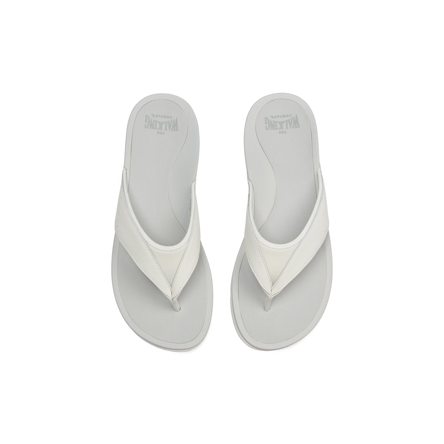 Balboa Metatarsal