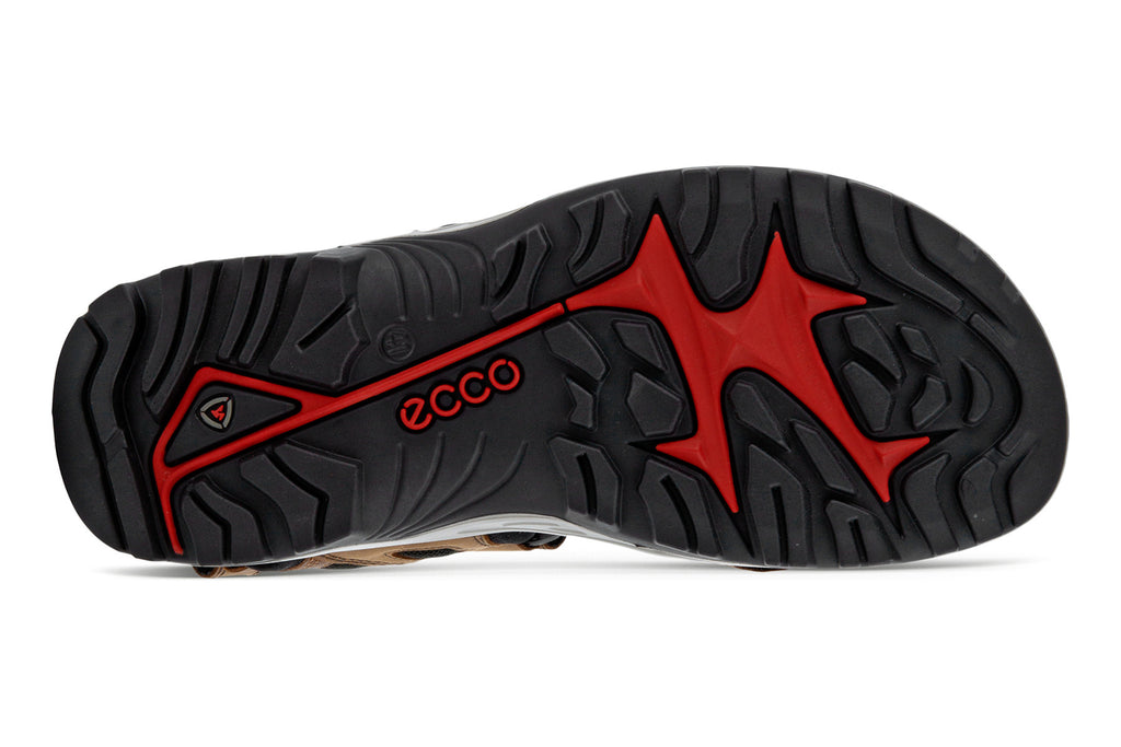 Zapatos ecco mexico vector sale