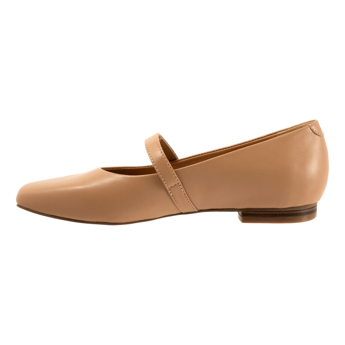 Hazel - Image 7