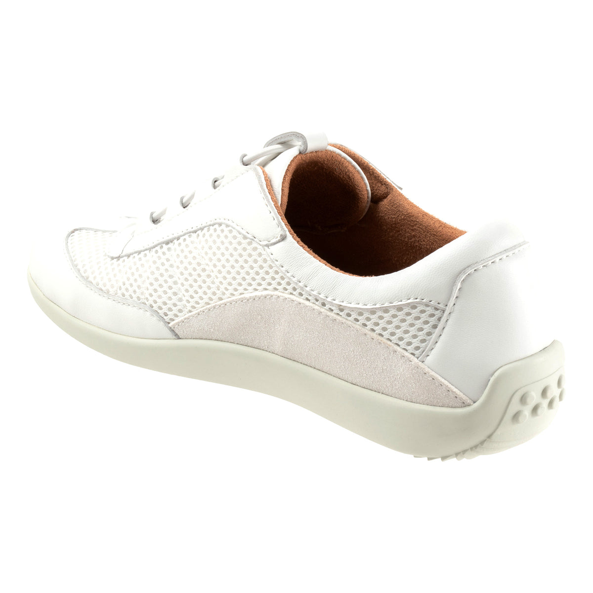 Darby - Image 6