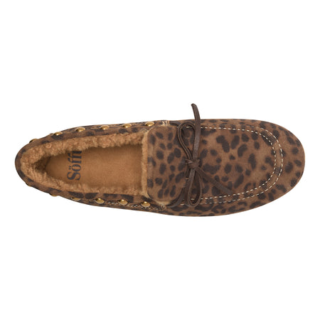 Alpine in Brown - top view