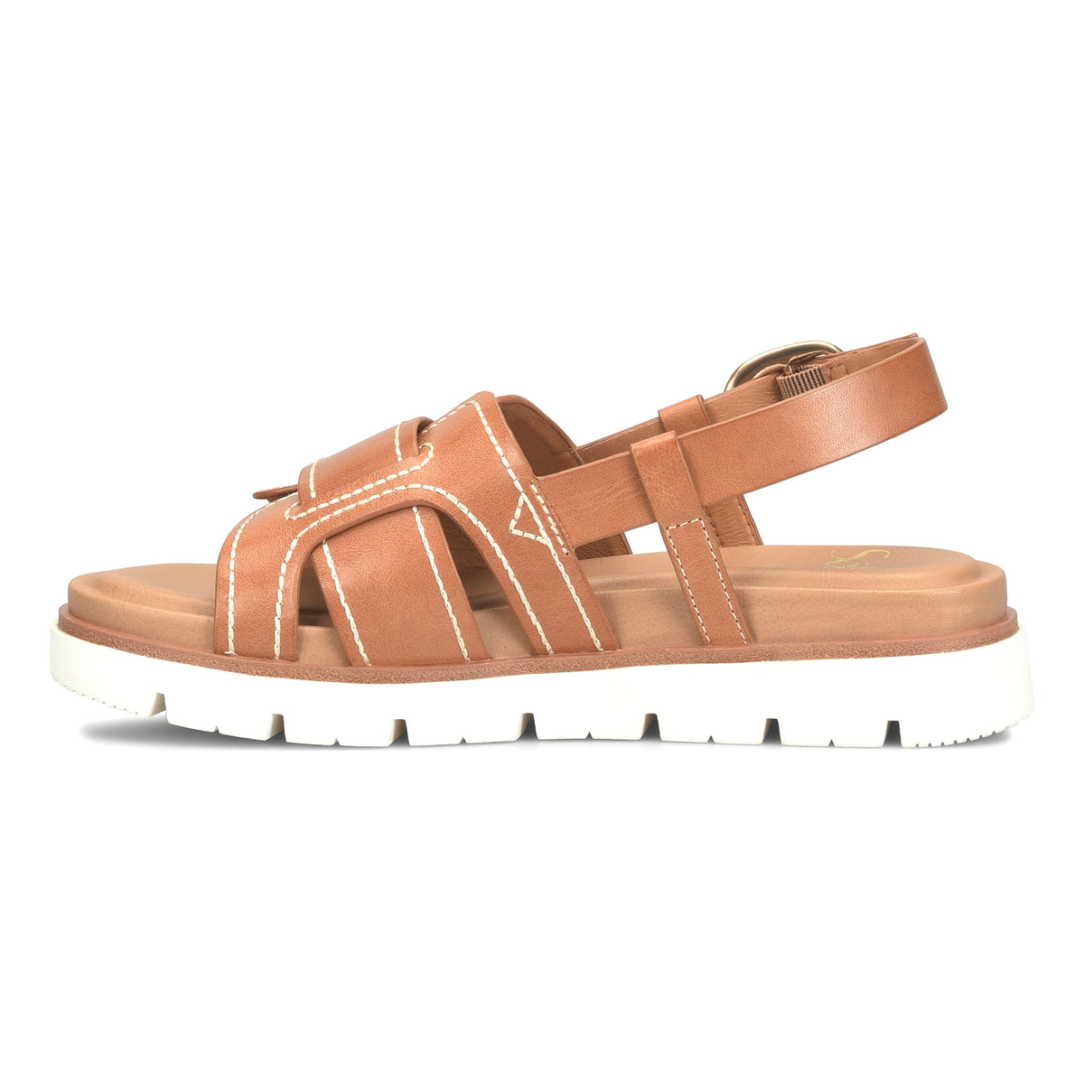 Goldie - Image 5