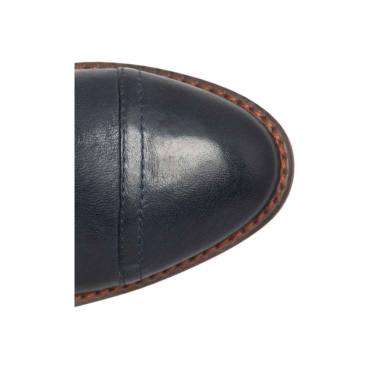 Cordia - Image 2