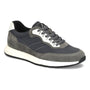 Shoe, gray and black Italian suede, Align Hasting brand, white laces and sole on plain white background.
