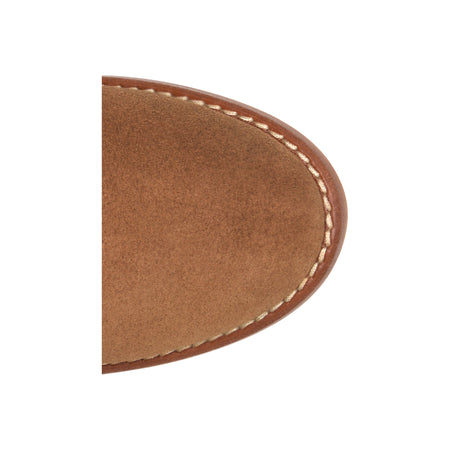 Desi in Brandy - top view