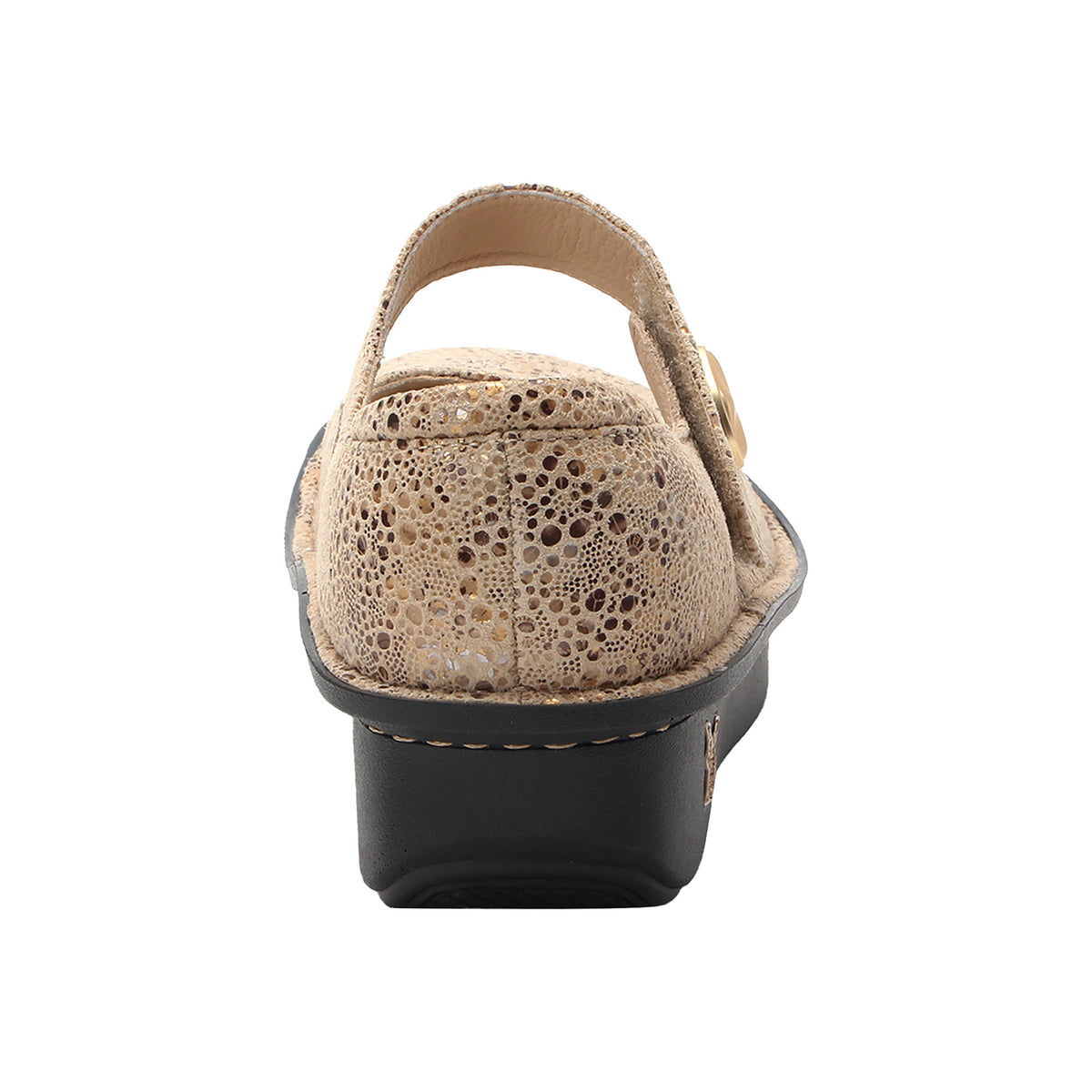 Paloma - Image 3