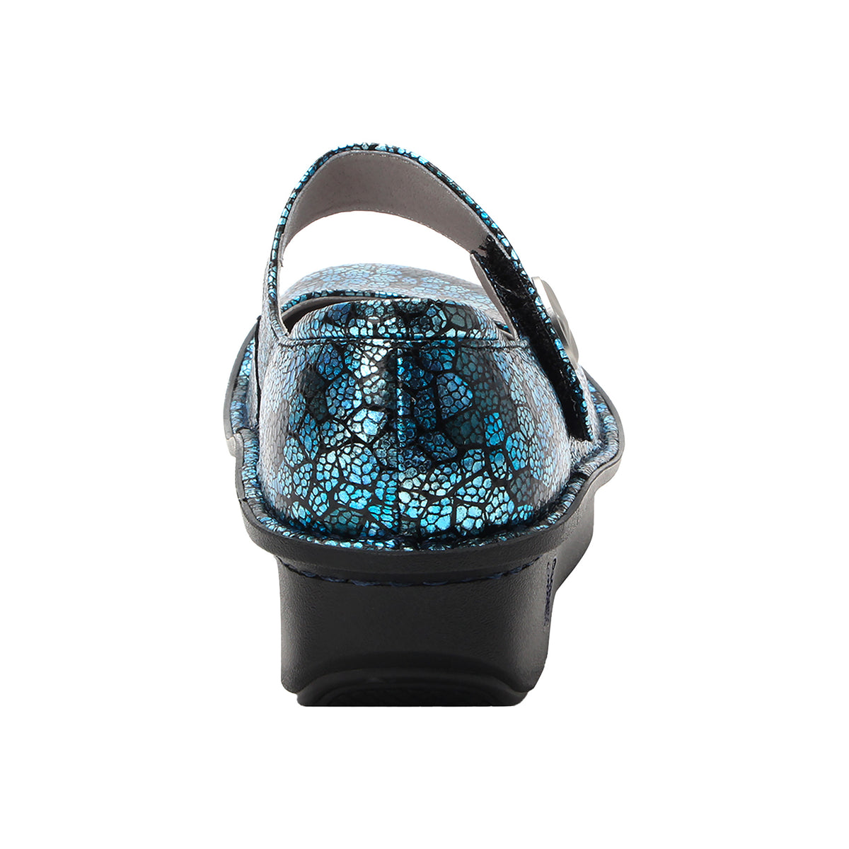 Paloma - Image 3