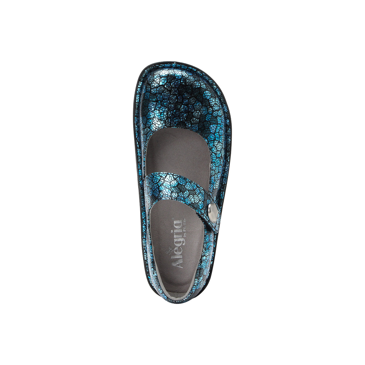 Paloma - Image 2