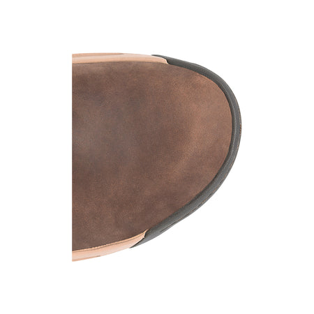 Eddy in Brown - top view