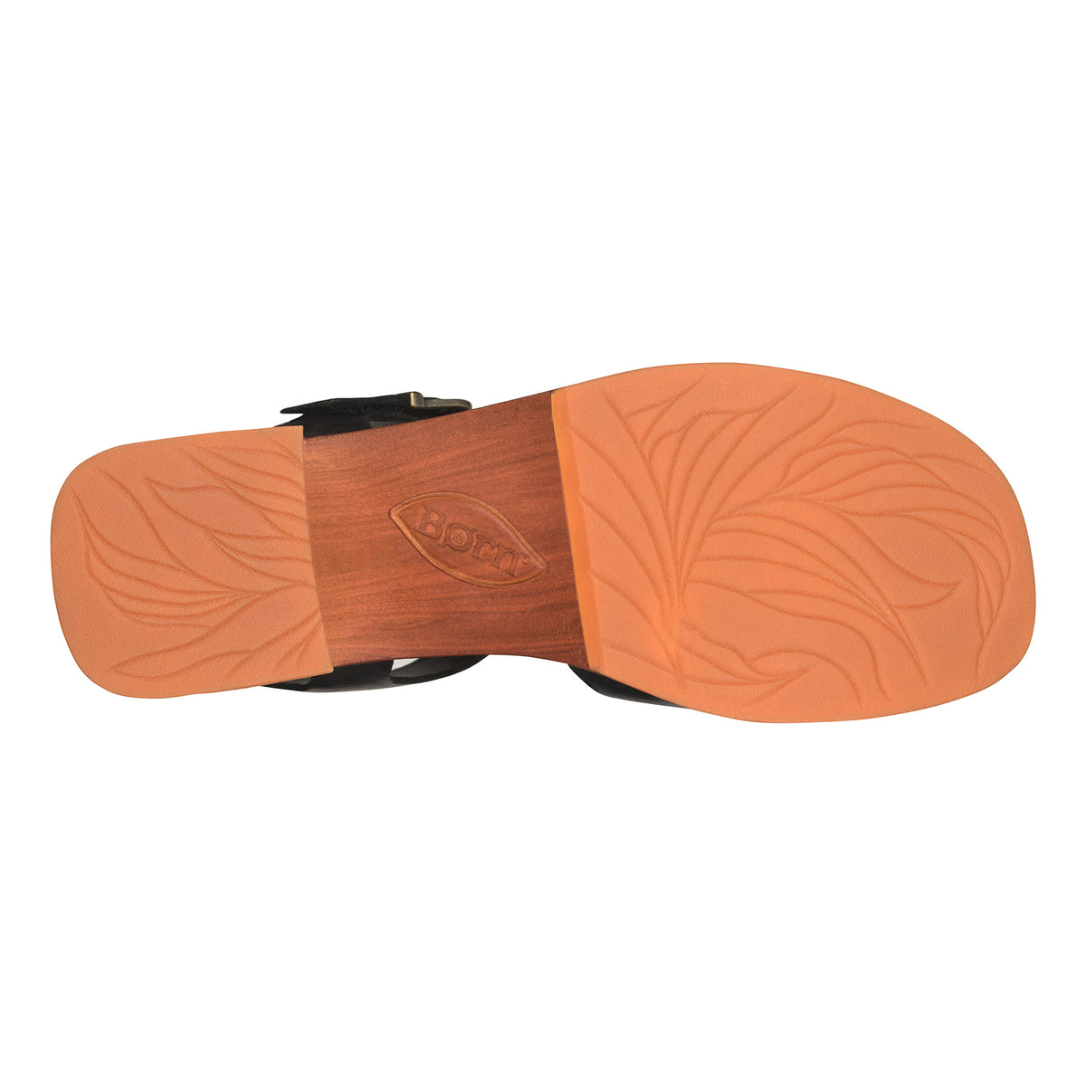 Bella - Image 7