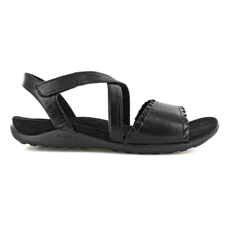 Coral in Black II - top view