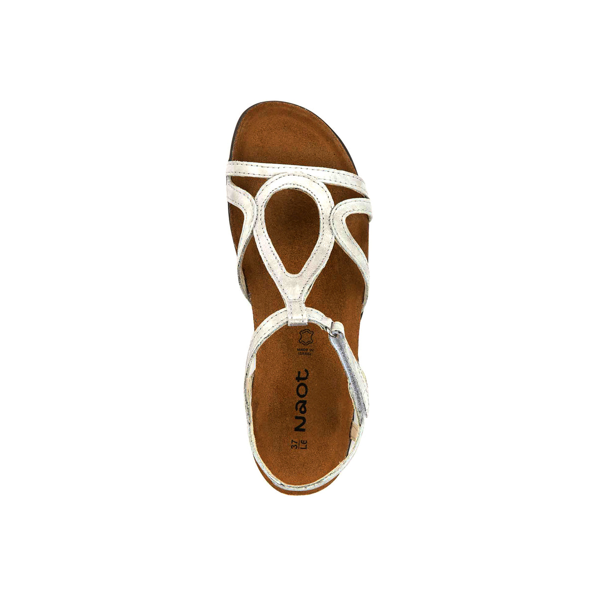 Dorith - Image 2
