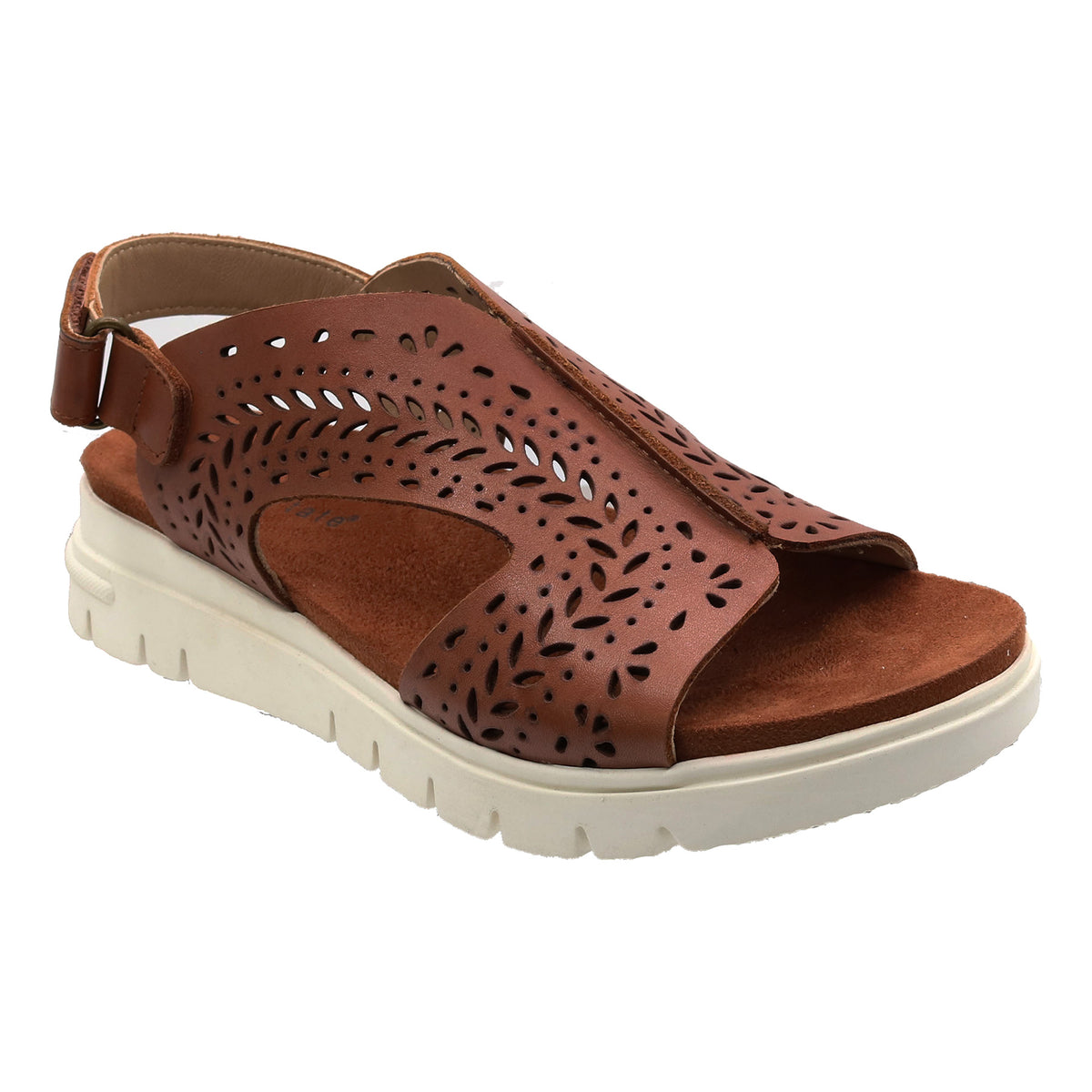 Moda - Image 1