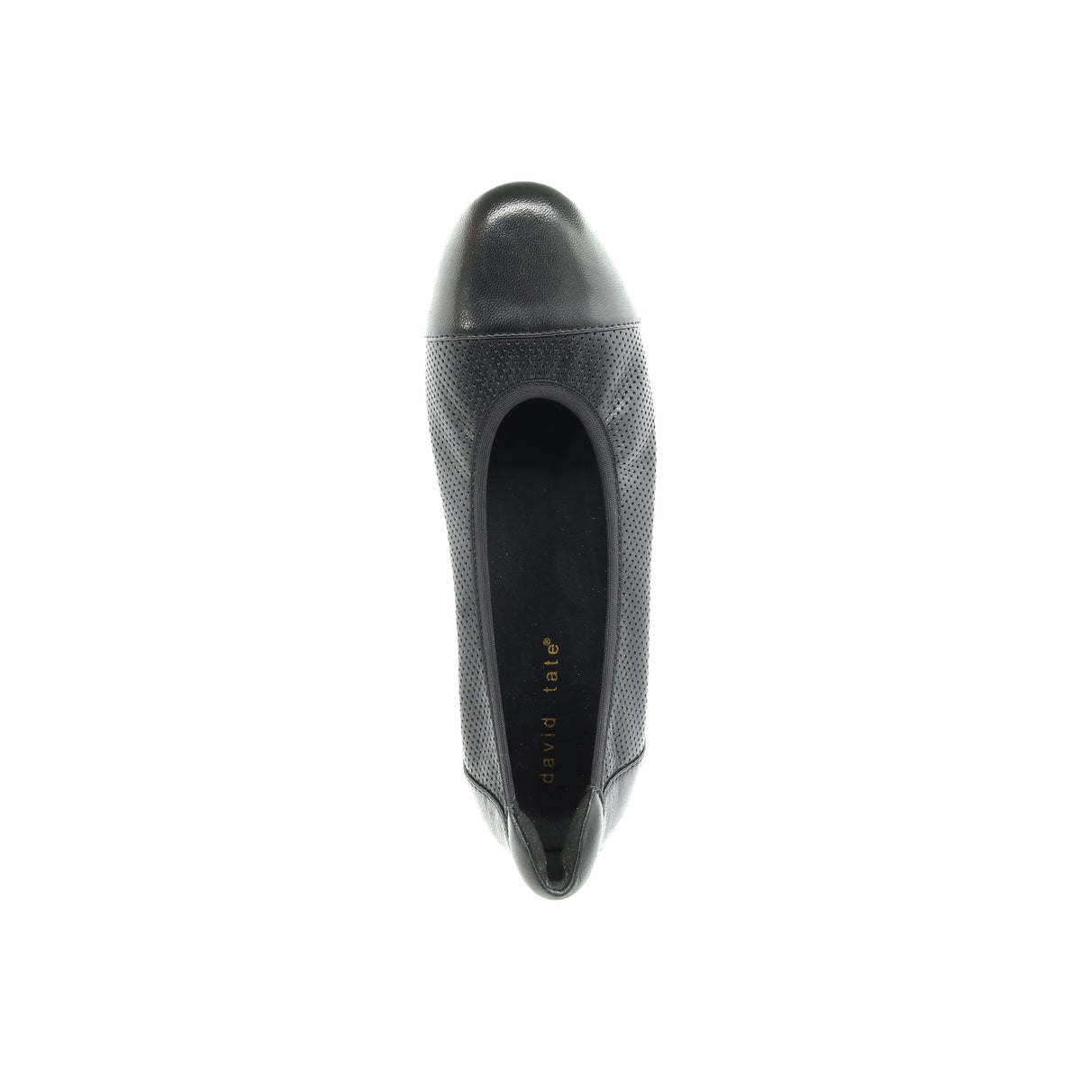 Newton - Image 2