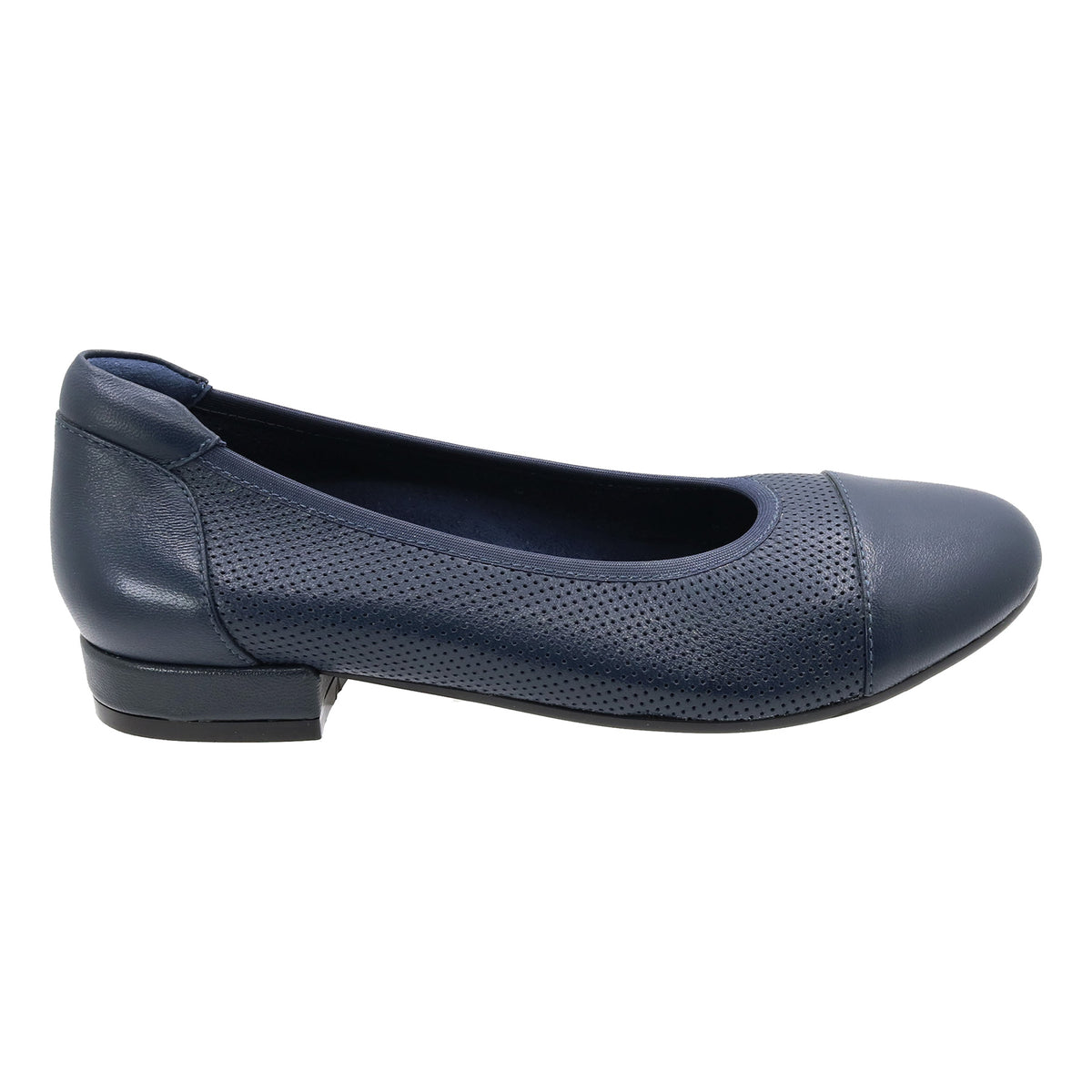 Newton - Image 6