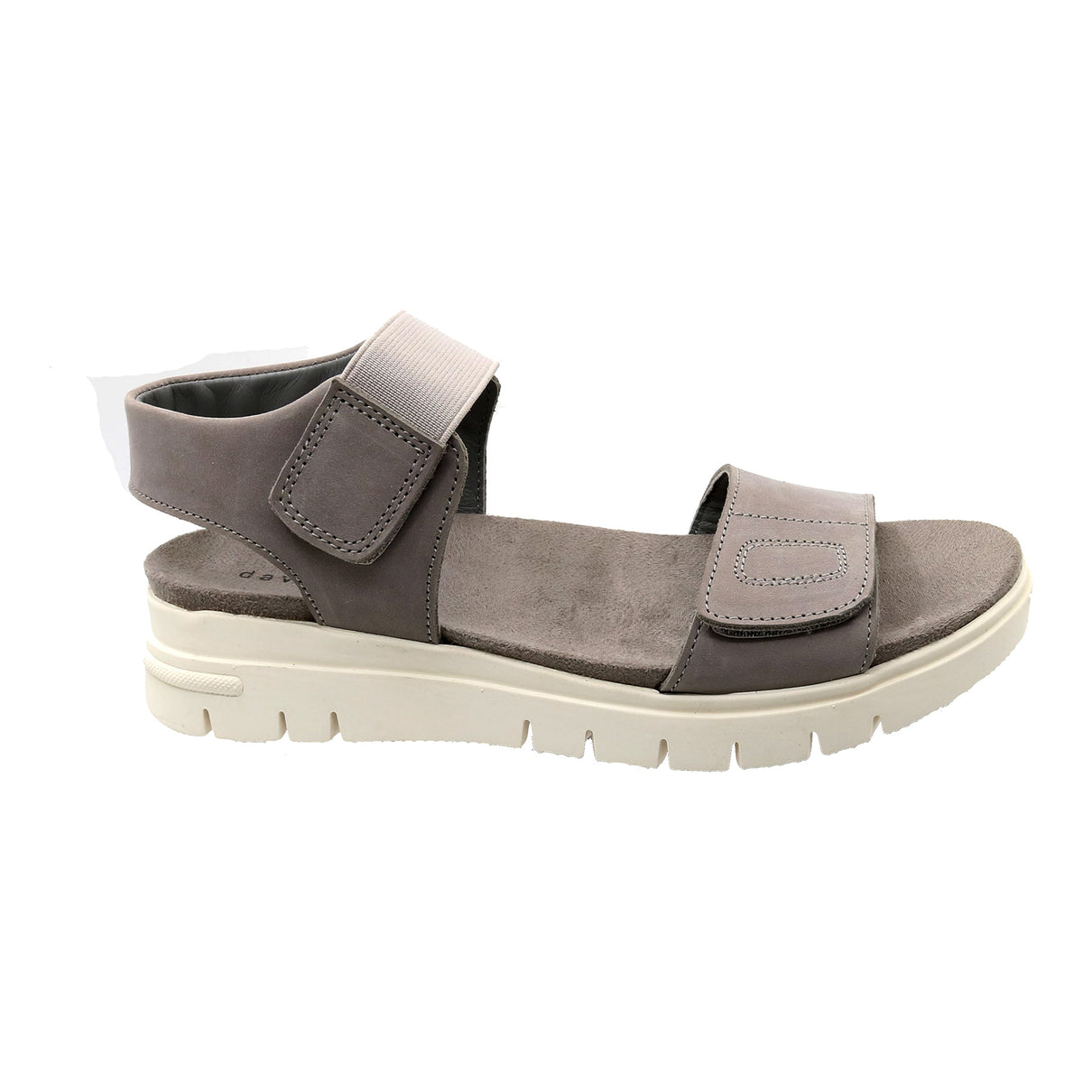 Papaya - Image 6
