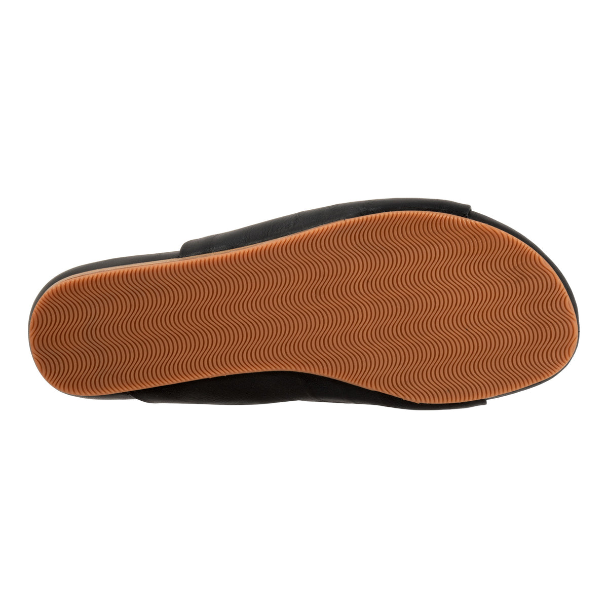 Camano 2.0 - Image 6