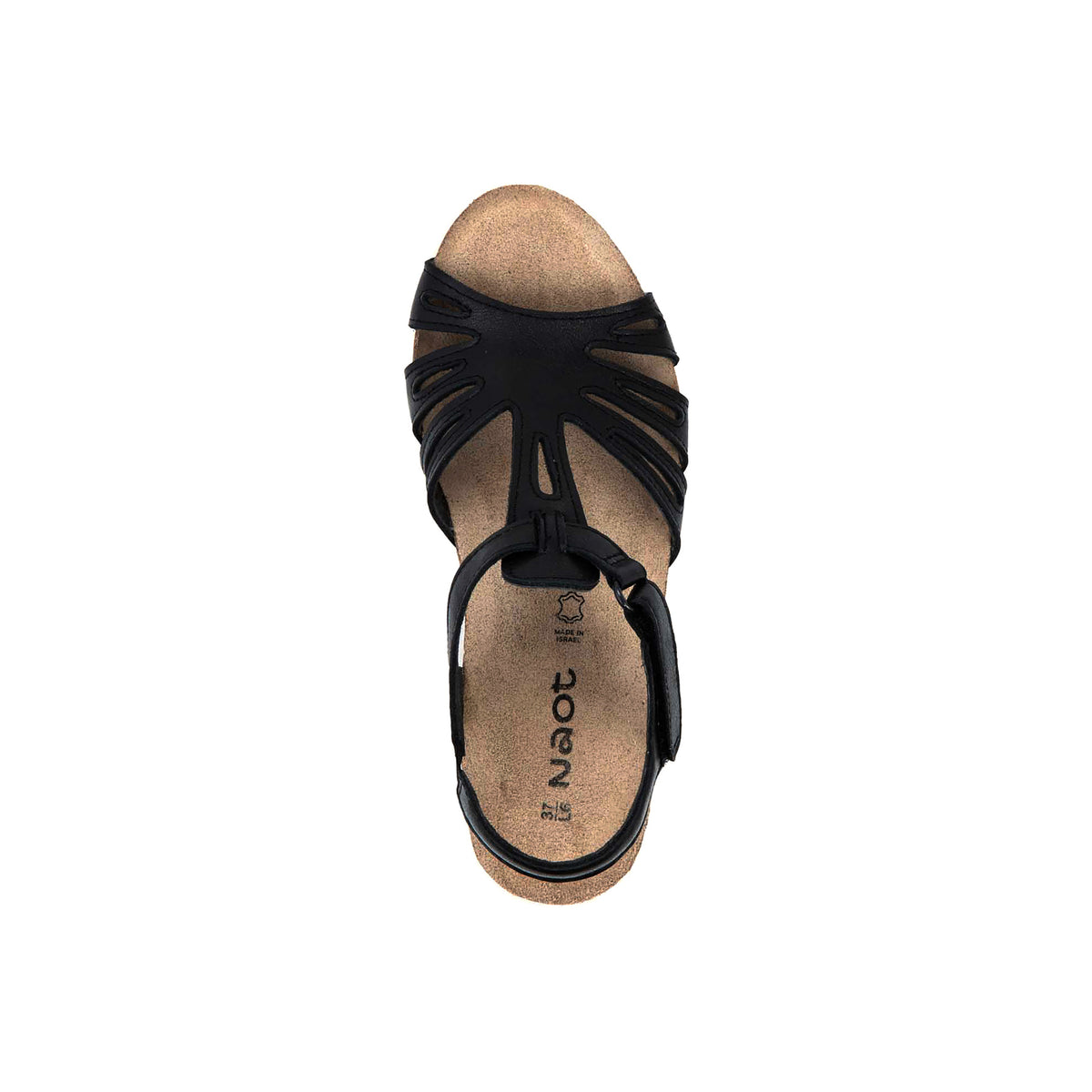 Starlet - Image 2