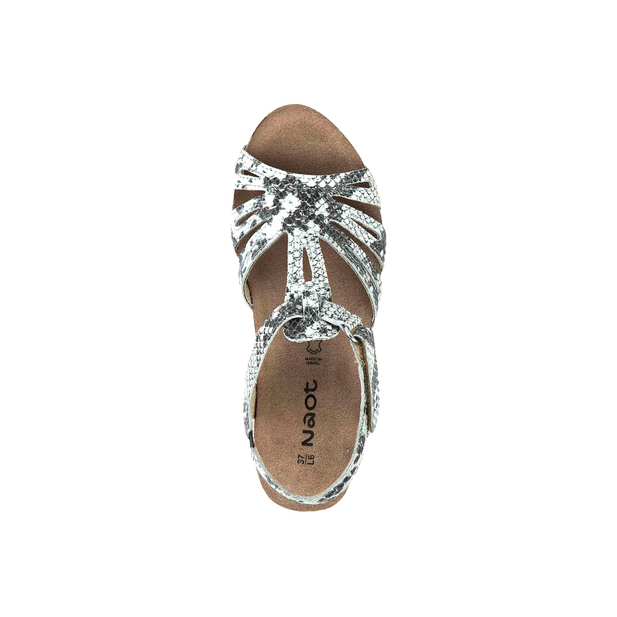 Starlet - Image 2