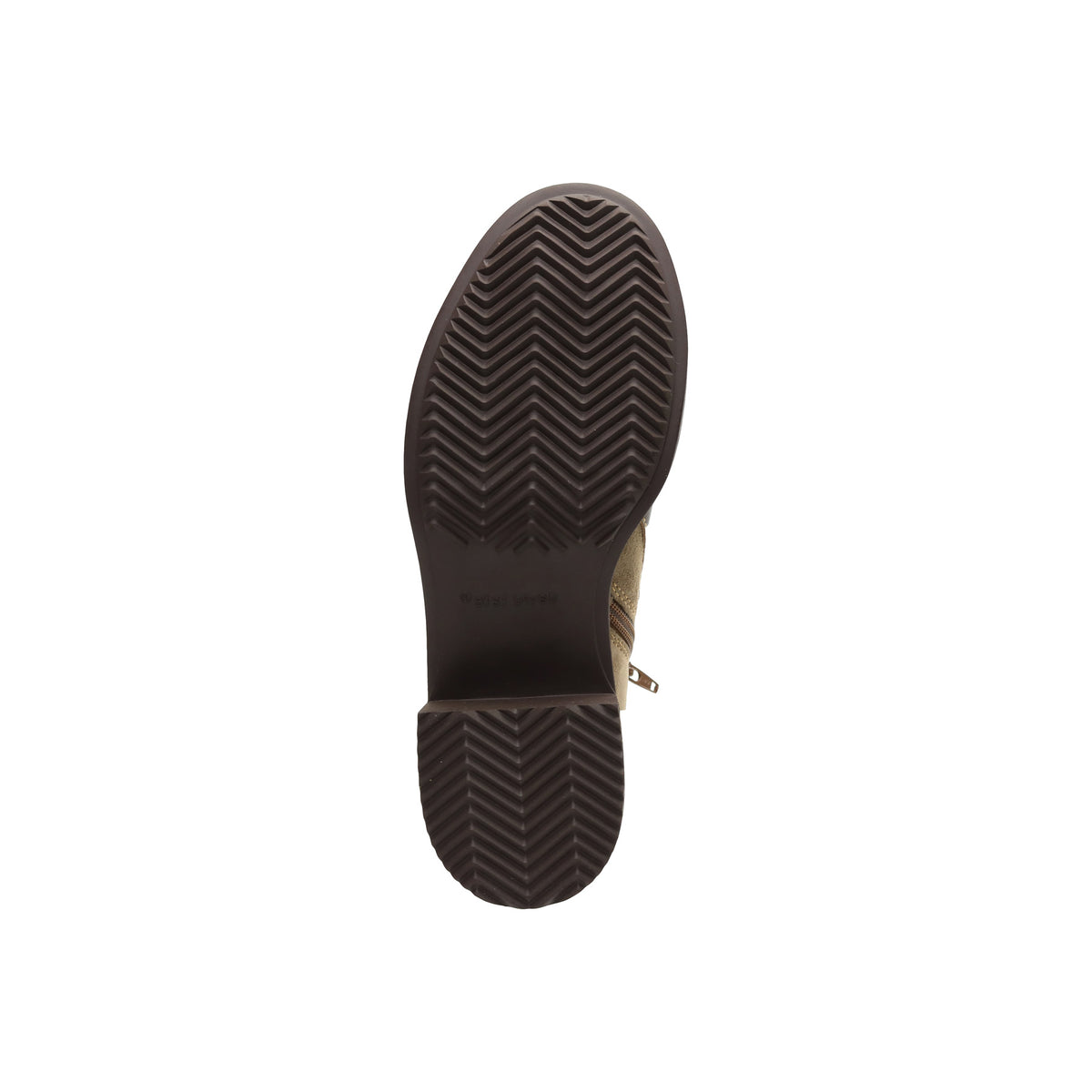 Spike - Image 5