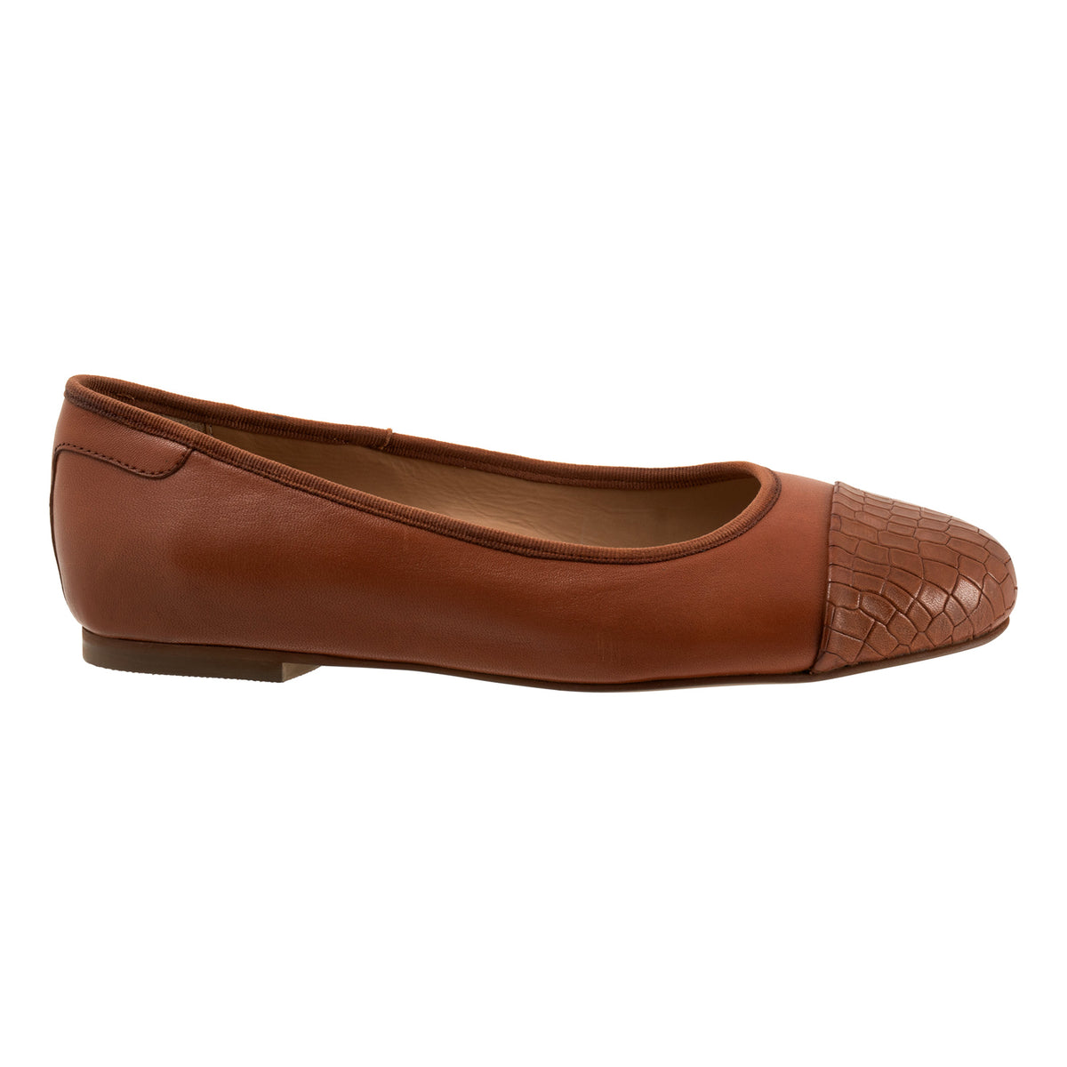 Clara - Image 7
