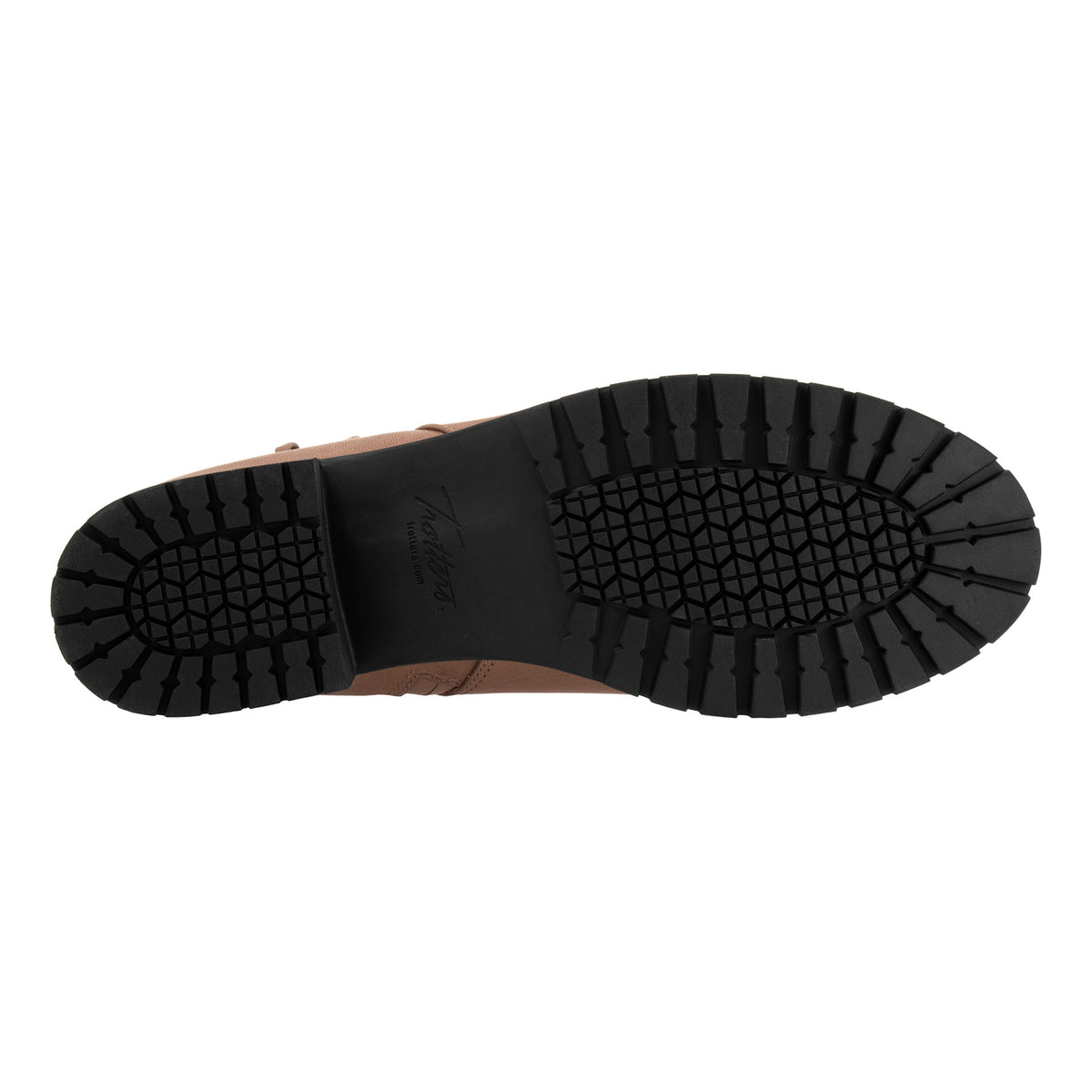 Marigold - Image 6