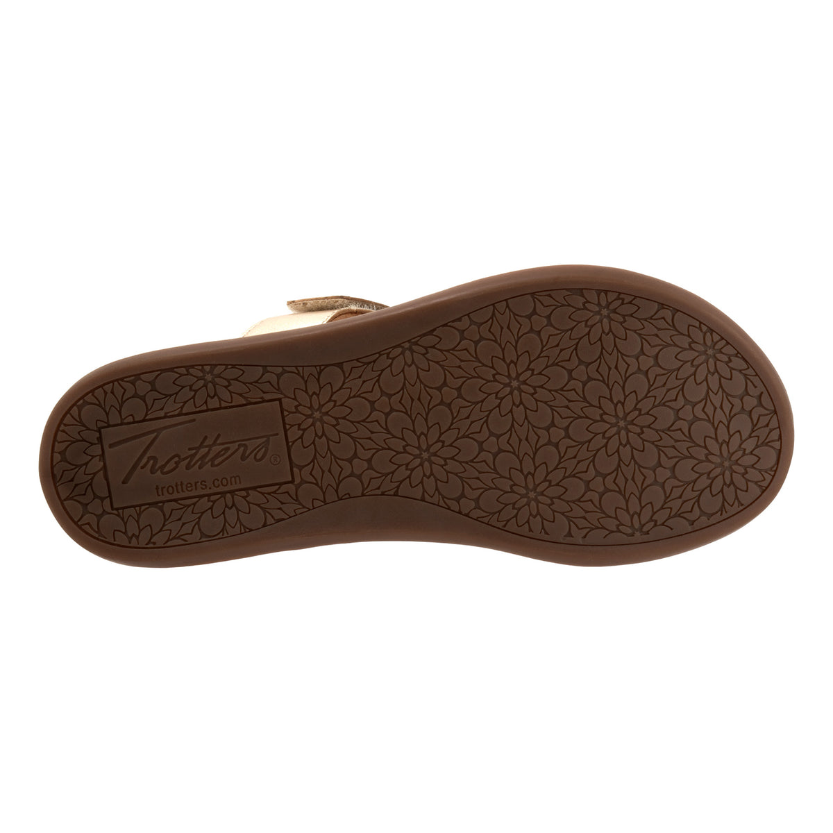 Ginnie - Image 6