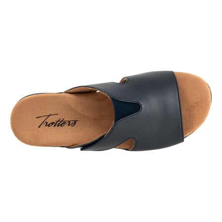 Roxine 2.0 in Navy - top view