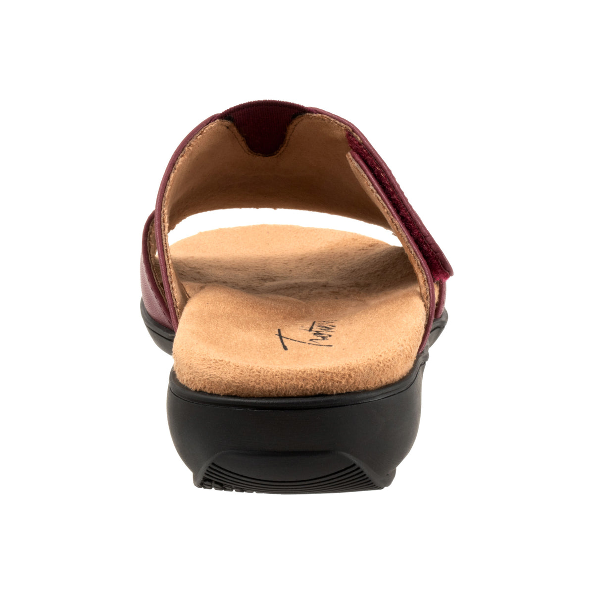 Roxine 2.0 - Image 3