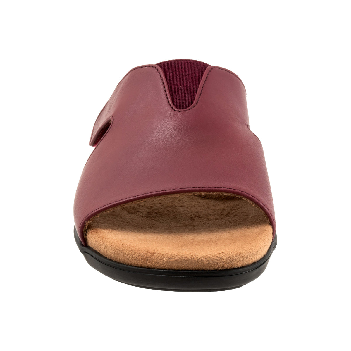 Roxine 2.0 - Image 4