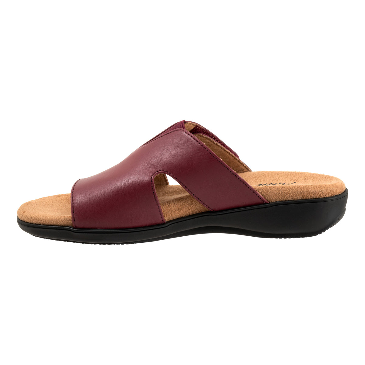 Roxine 2.0 - Image 7