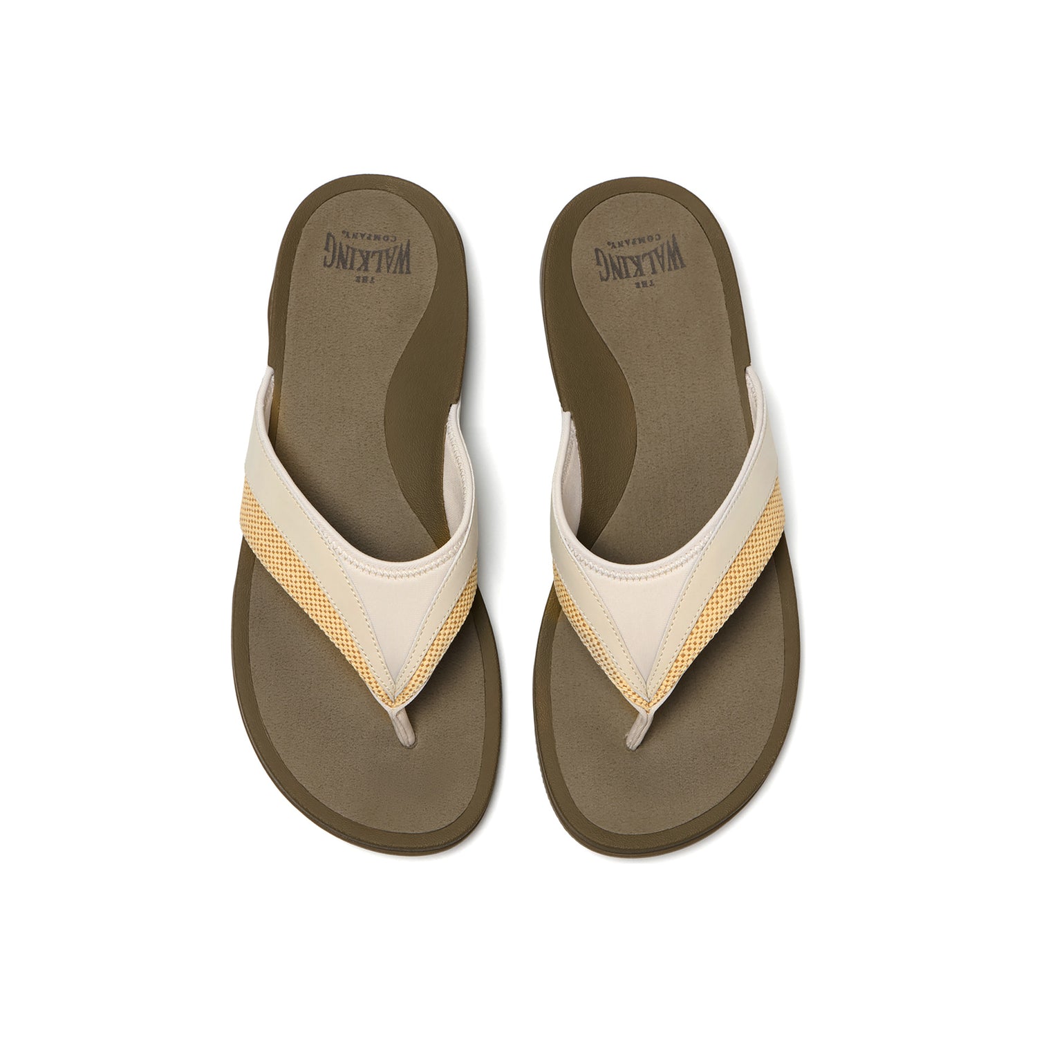 Balboa Metatarsal - Image 2