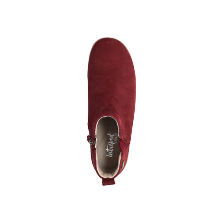 Devon in Tawny Port - top view