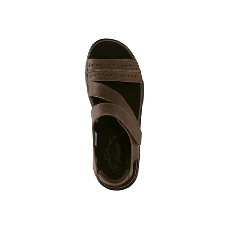 Garnet in Bison Brown - top view