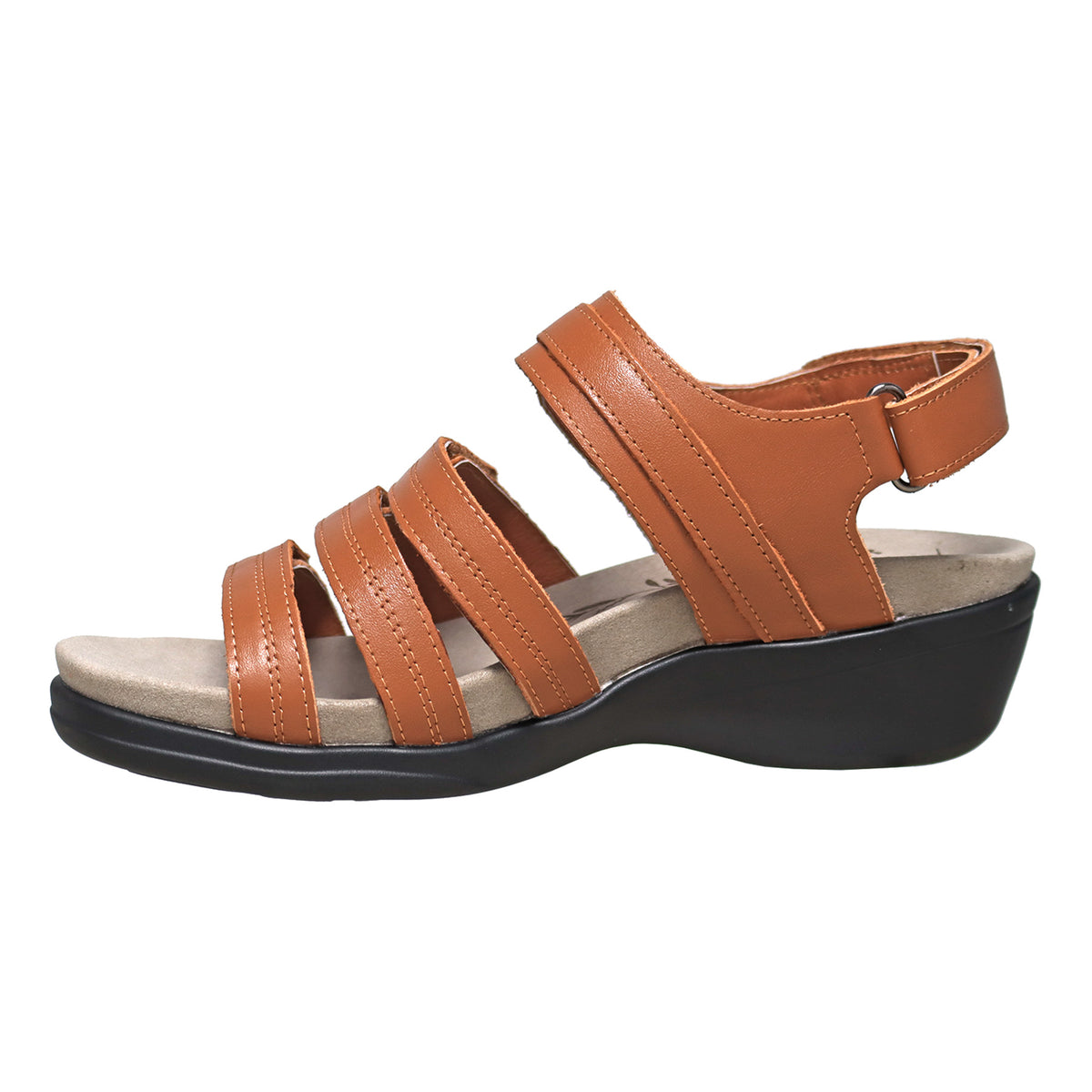 Ainsley - Image 5