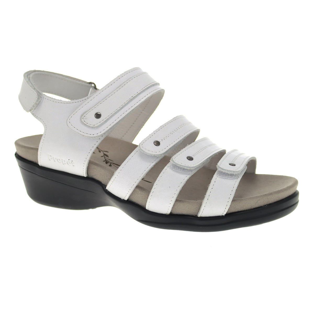 Ainsley - Image 1