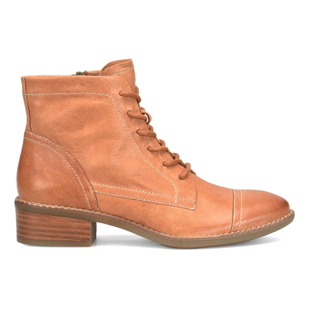 Cordia - Image 7