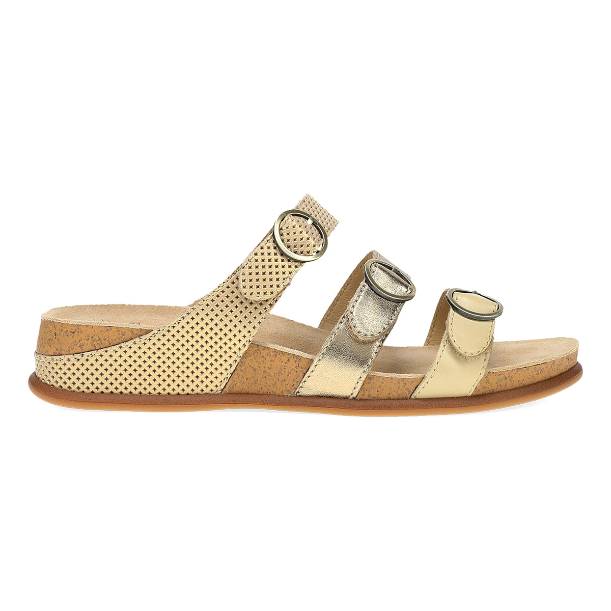 Campbell - Image 4