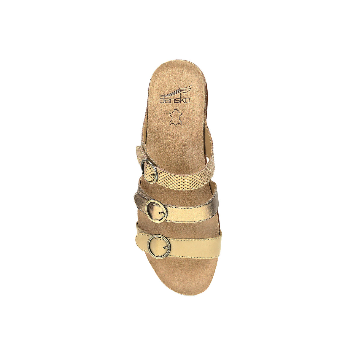 Campbell - Image 2