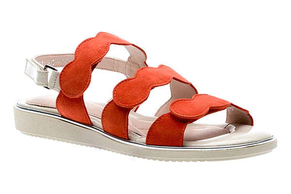 Cleo WalkingCo