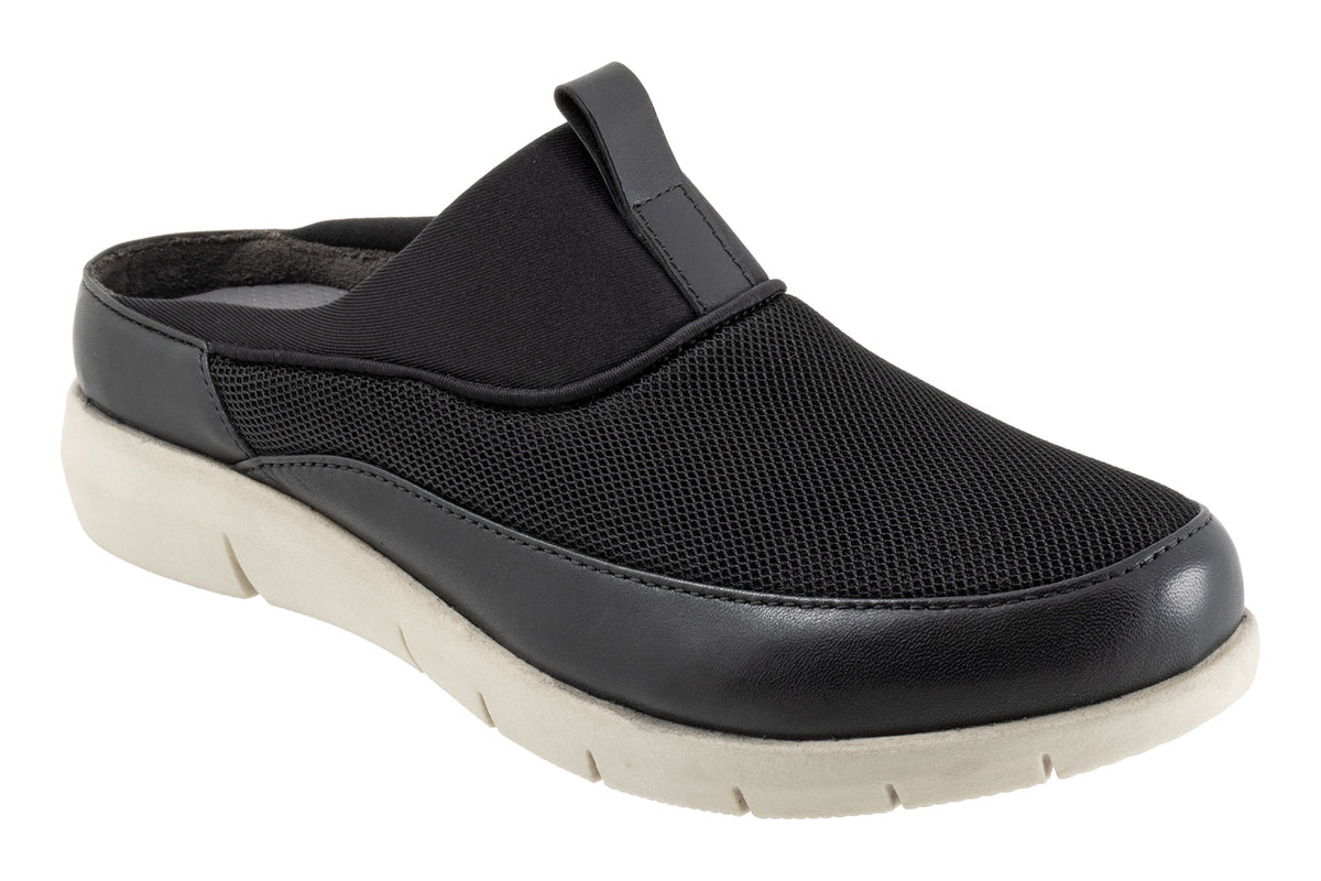 Aberdeen Sport - Image 1
