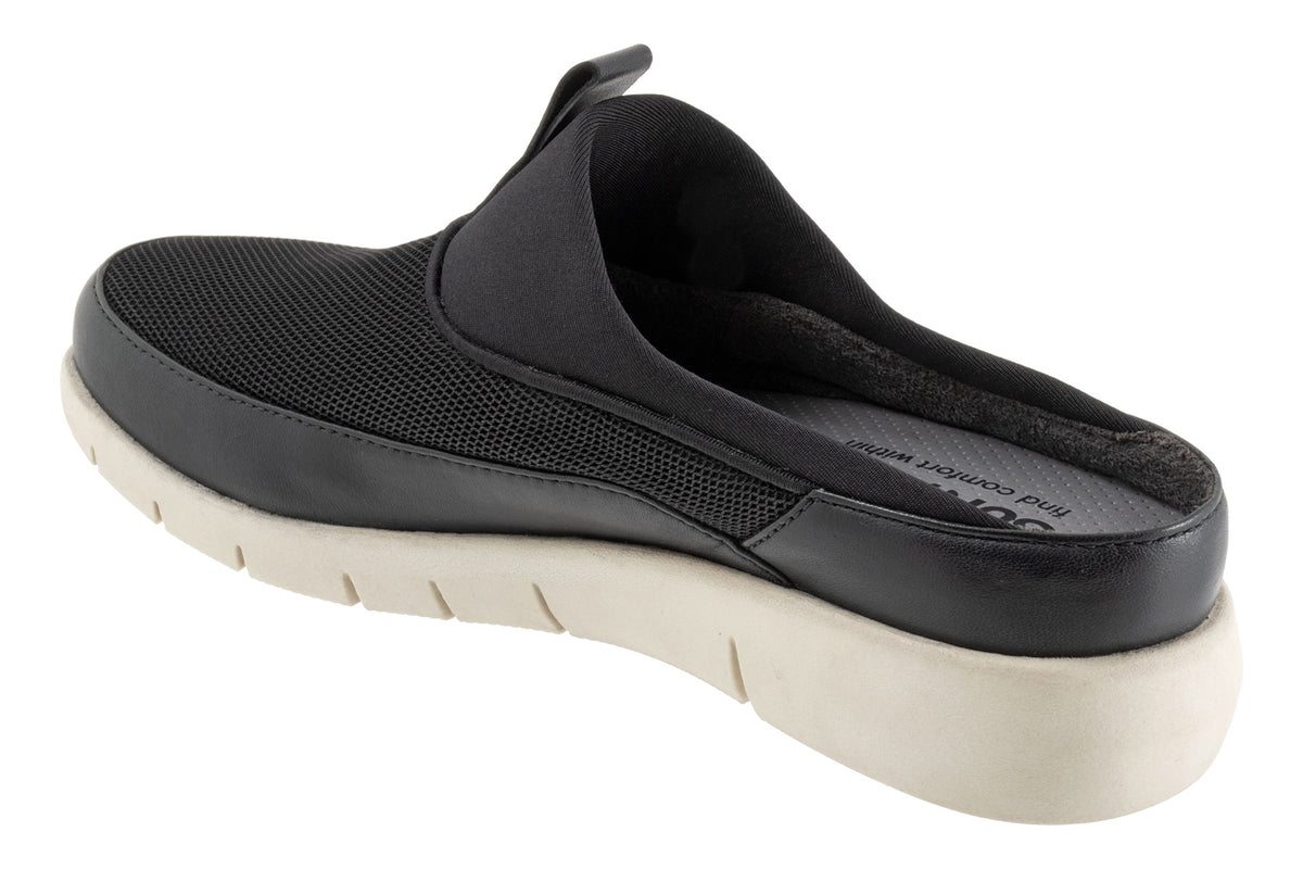 Aberdeen Sport - Image 6