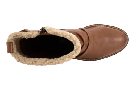 Warner in Luggage - top view