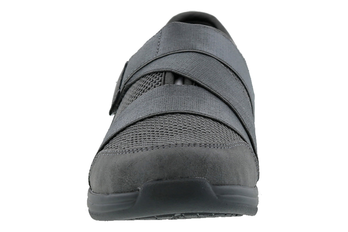 Aster - Image 4