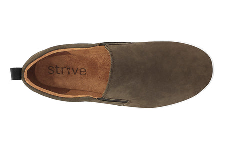 Florida in Brown - top view