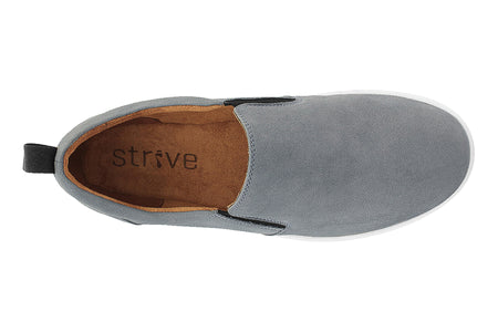 Florida in Grey - top view