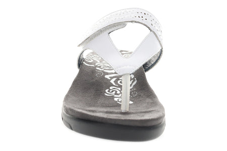 Wynzie in White - top view