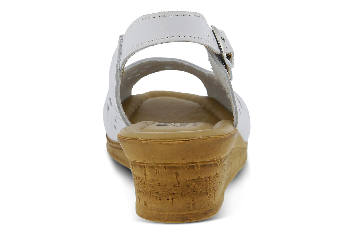 Orella - Image 4