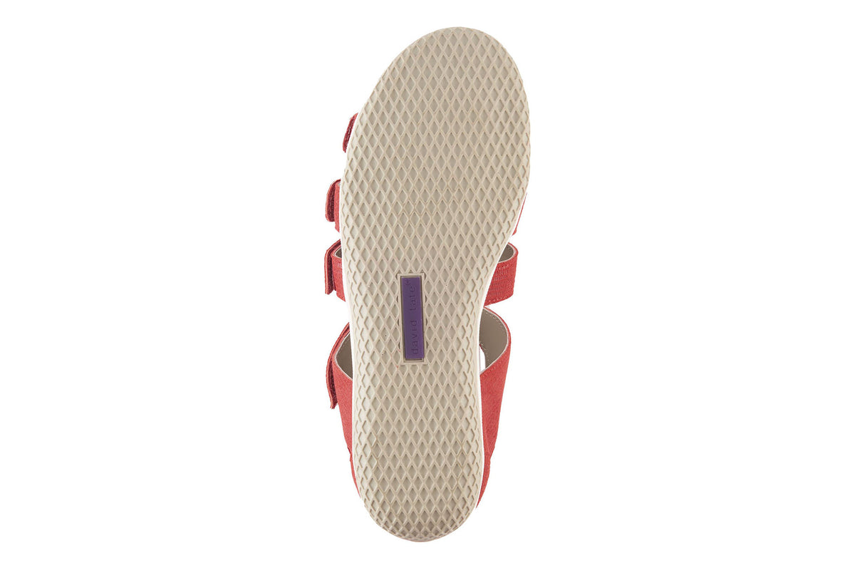 Shala - Image 3
