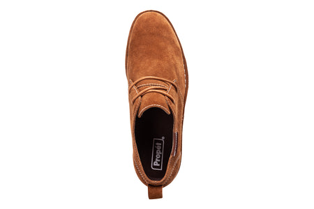 Finn in Tan - top view